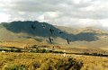 Reno_025