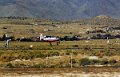 Reno_103