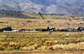 Reno_110